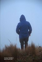 All_for_nothing